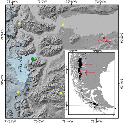 Imprints of Climate Signals in a 204 Year δ18O Tree-Ring Record of Nothofagus pumilio From Perito Moreno Glacier, Southern Patagonia (50°S)